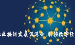 深圳金融区块链发展促进会：引领数字经济新时