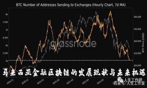 马来西亚金融区块链的发展现状与未来机遇