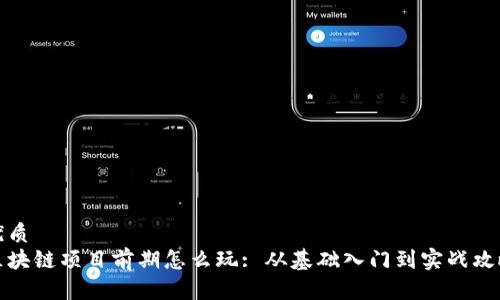 优质  
区块链项目前期怎么玩: 从基础入门到实战攻略