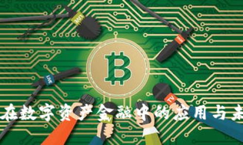 区块链在数字资产金融中的应用与未来发展