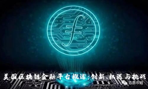 美国区块链金融平台概述：创新、机遇与挑战